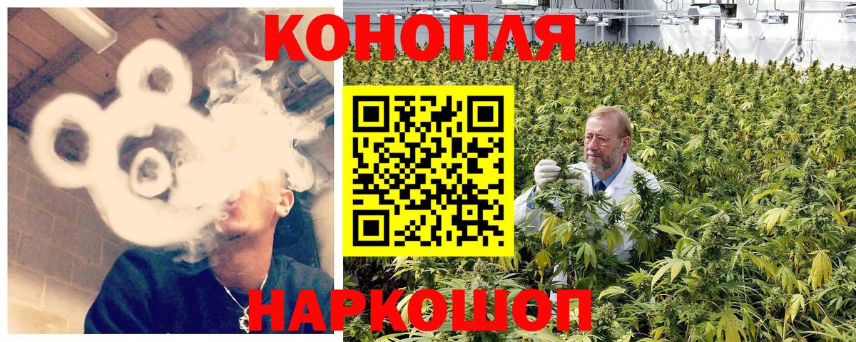 Шишки марихуана Bruce Banner Отрадный